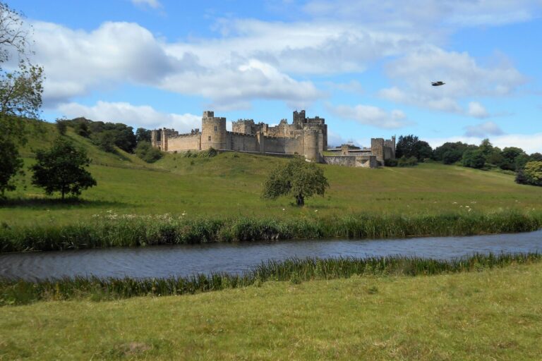 Almwick Castle from the Pastures