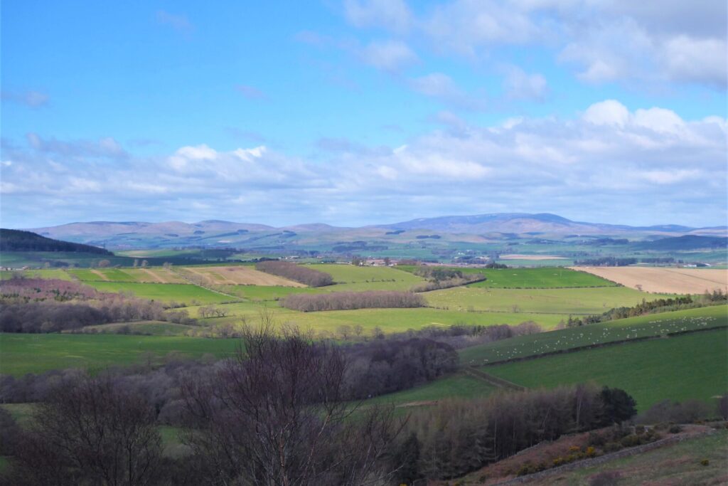 A view from the road over Alnwick Moor looking towards the Cheviot Hills