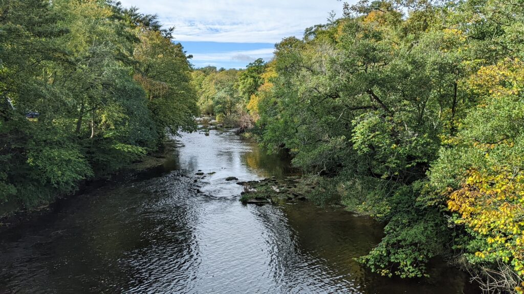 The river Coquet flowing between green trees on both banks