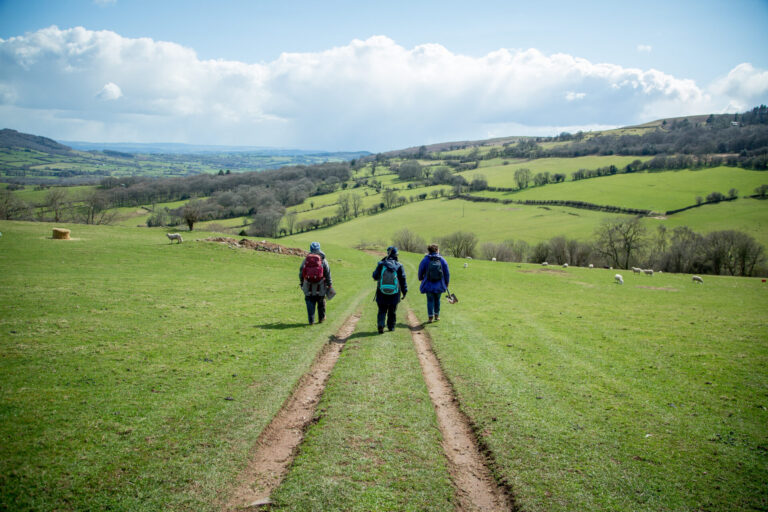 Three people walking away down a grassy slope