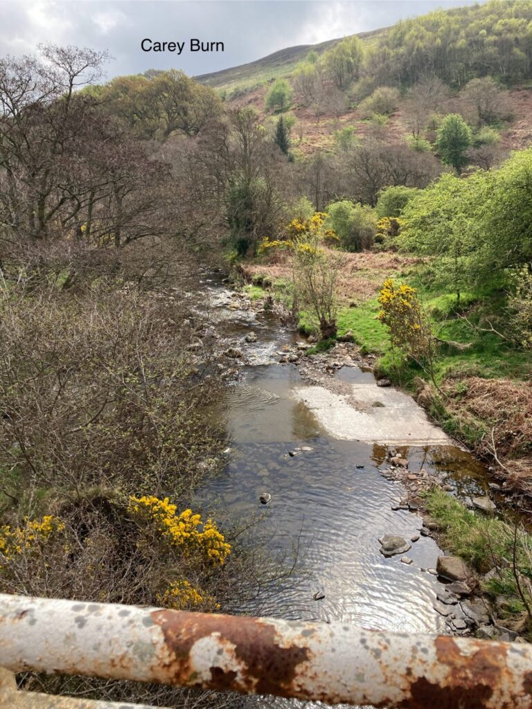 Looking down from a metal bridge onto a small river with green and yellow bushes on each side and a small grassy bank on the right. Further away the land goes up a hill with a few green small trees going up the slope. The sky is greyish blue.
