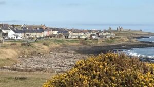 In the foreground there is a gorse bush. Beyond that is a rocky beach with a road and some houses on the left. In the distance is Dunstanburgh Castle with a central ruined gatehouse, some walls going left and right and a small tower on the left hand side. The sea can be seen in small bays on the right. The sky is blue with a few spashes of purple cloud.