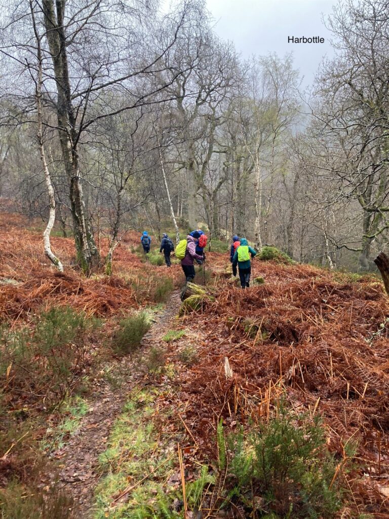 Looking along a path with bare trees and green and brown vegetation on both sides. A group of about six walkers, in brightly coloured clothes, are going along the path. There are tall trees in the distance and a bit of blue sky is just visible.
